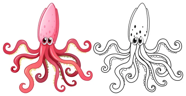 Esquema animal para calamares — Archivo Imágenes Vectoriales