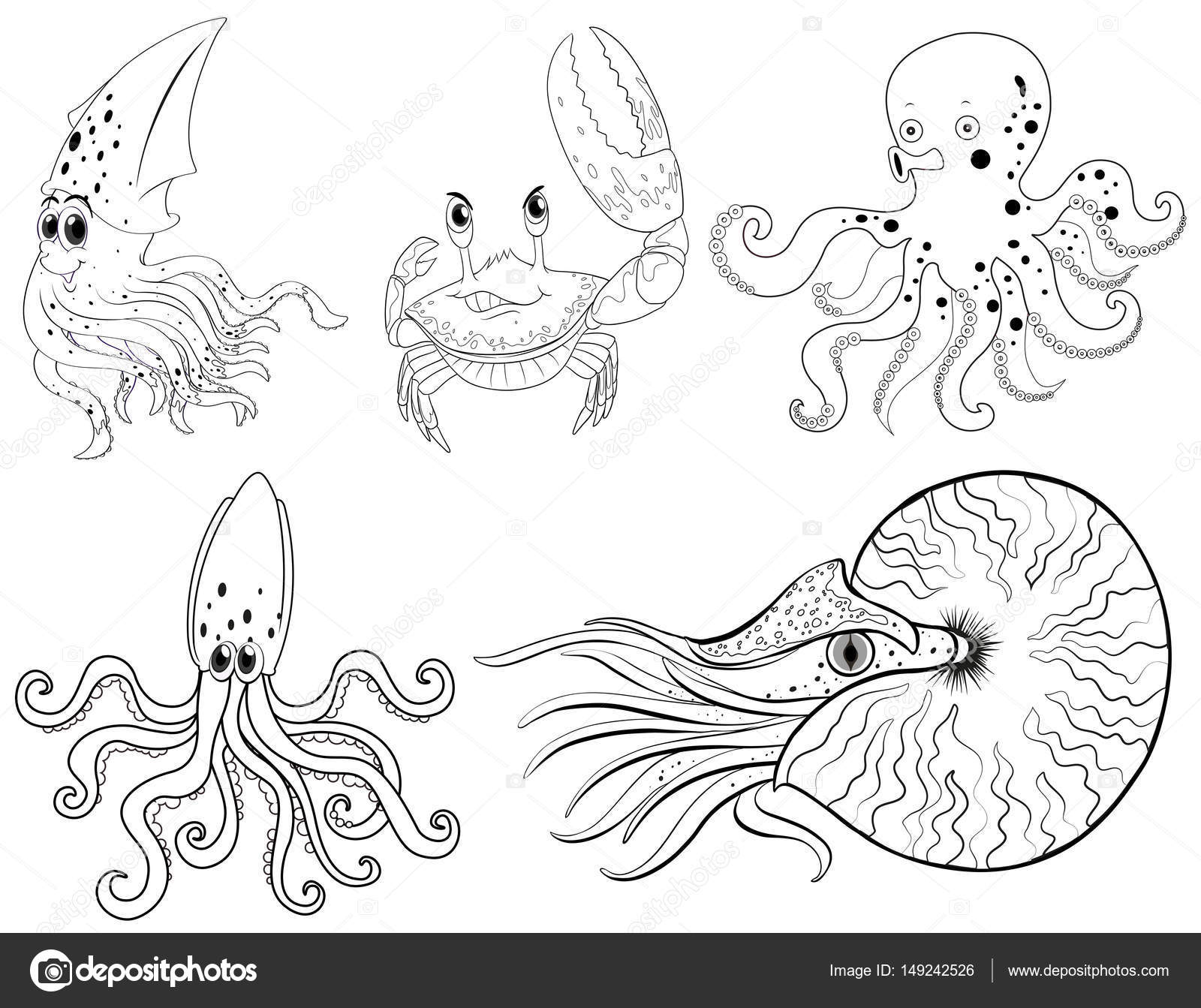 Animal Outline For Sea Animals Stock Vector Image By C Interactimages Animal Outline For Sea Animals Stock Vector Image By C Interactimages