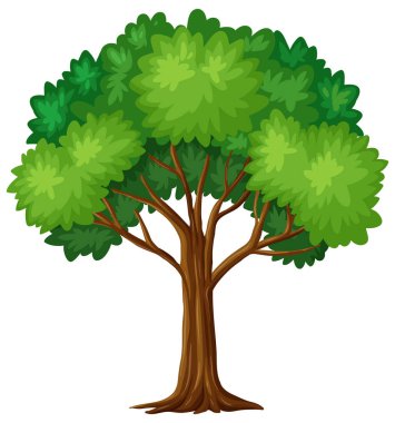 Green tree on white background clipart