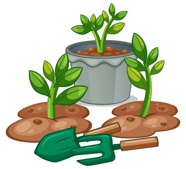 Planten en tuinieren apparatuur — Stockvector