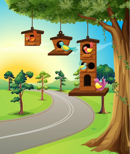 Pássaros na casa de pássaros na árvore — Vetor de Stock