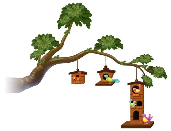 Birdhouses med fåglar på gren — Stock vektor