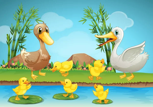 Mother duck and ducklings at the river — Stock Vector