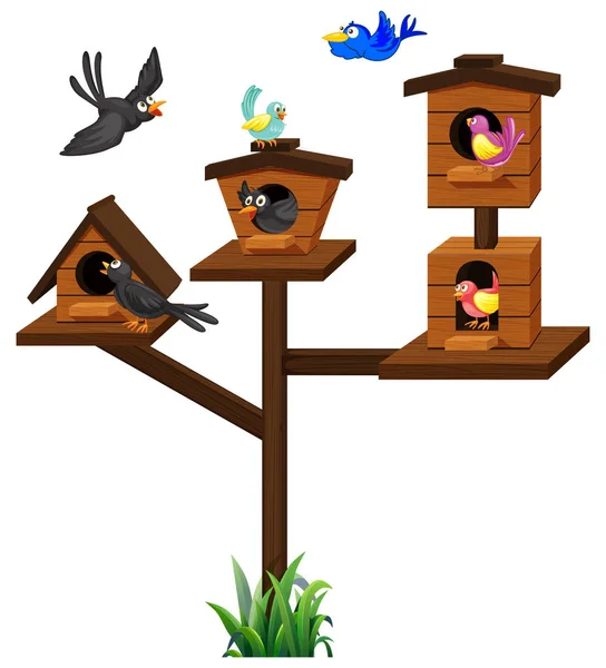 Verschillende soorten vogels in de vogelkooi — Stockvector