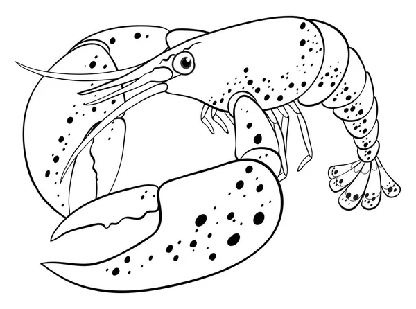 Animal outline for lobster — Stock Vector