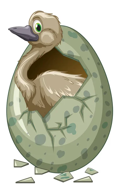 野生の鳥の孵化の卵 — ストックベクタ