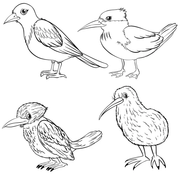 Contour animal pour quatre types d'oiseaux — Image vectorielle