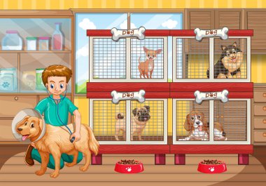 Birçok köpek hastanede kontrol veteriner