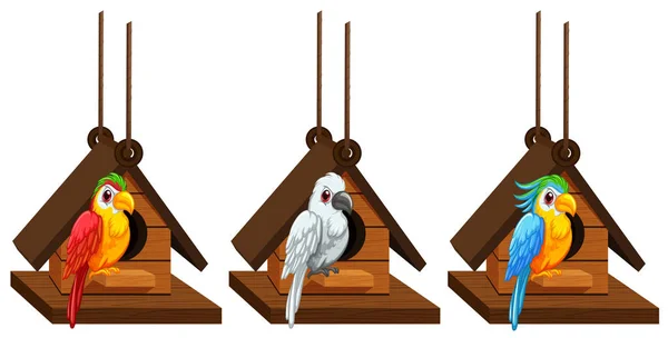 Papugi Ara, żyjących w birdhouse — Wektor stockowy