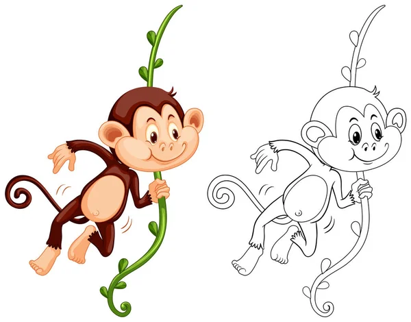 Doodle animal character for monkey — Stock Vector