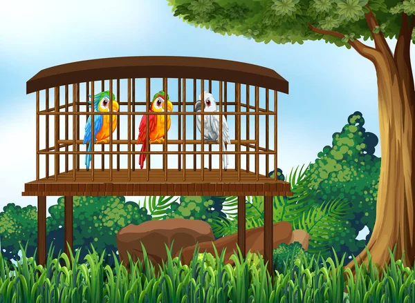 Tre uccelli pappagallo in gabbia di legno — Vettoriale Stock