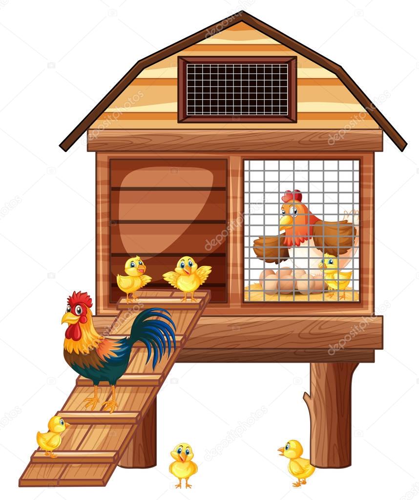 Chicken coop with many chicks