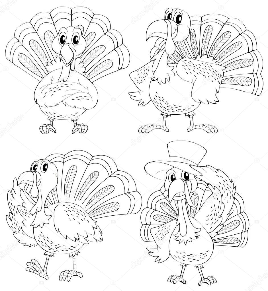 Doodle animal outline of turkey in four actions