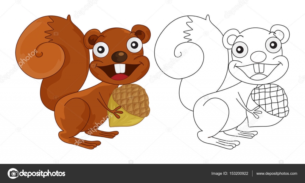 Animal outline for squirrel Stock Vector Image by ©interactimages #153200922