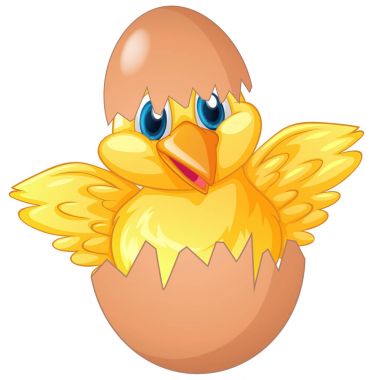 Küçük civciv kuluçka yumurta