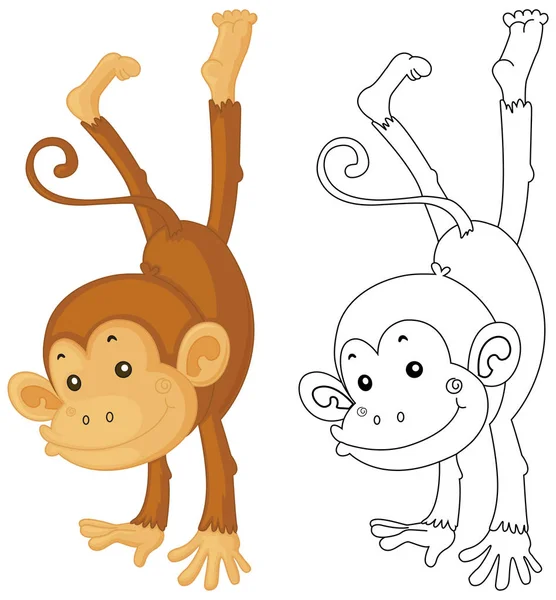 Animal outline for monkey flipping — Stock Vector