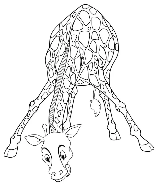 Animal outline for giraffe drinking — Stock Vector
