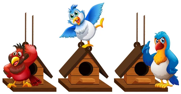 Tre uccelli ara pappagallo in birdhouse — Vettoriale Stock