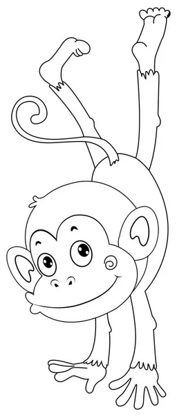 Állati vázlat a majom — Stock Vector