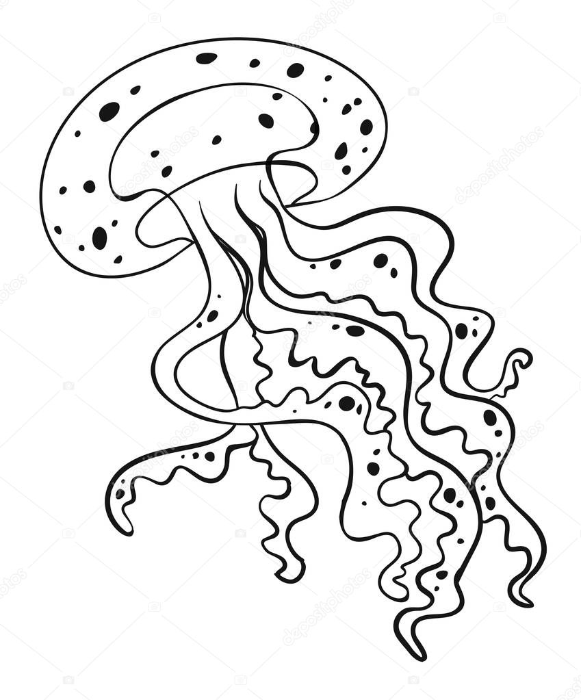 Download Jellyfish outline | Animal outline for jellyfish — Stock Vector © interactimages #153201484