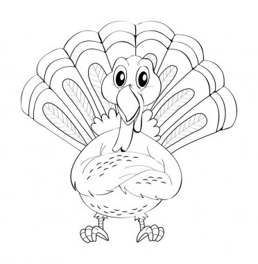 Wild Türkiye'nin hayvan doodle