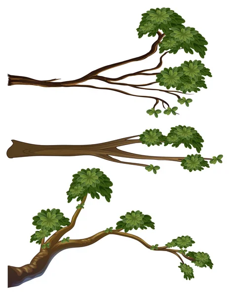 Different shapes of branches — Stock Vector