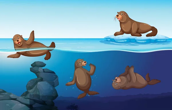 Oceaan scène met vier zeehonden zwemmen — Stockvector