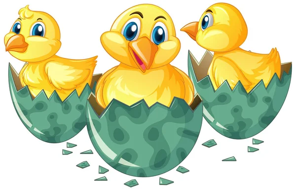 Three little chicks hatching eggs — Stock Vector