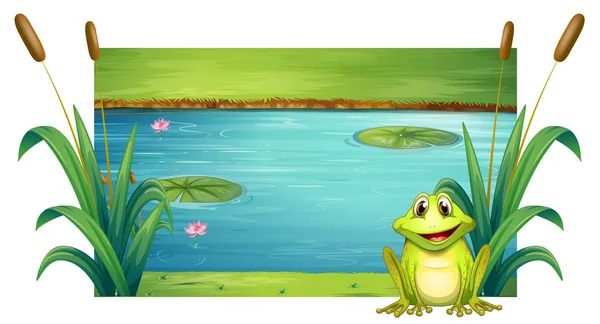 绿色的青蛙，坐在河边 — 图库矢量图片
