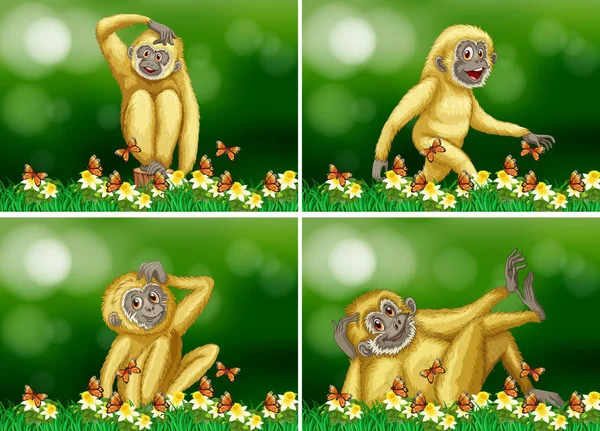 在四个场景的可爱长臂猿 — 图库矢量图片