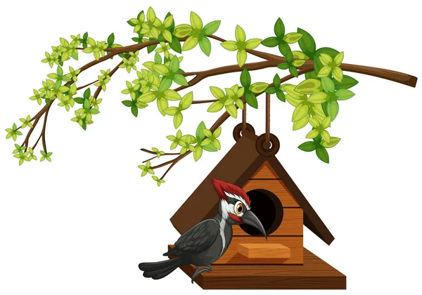 Dzięcioł, żyjących w birdhouse — Wektor stockowy