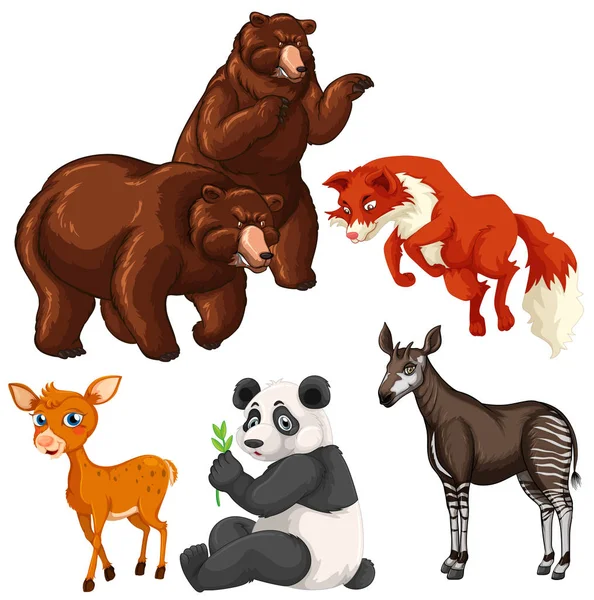 Diferentes tipos de animales salvajes — Vector de stock