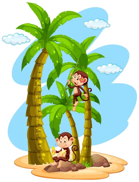 Régua de gráfico de crescimento com dois macacos na árvore — Vetor de Stock