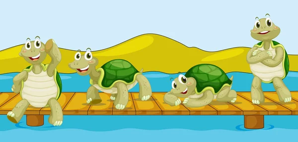 Four turtles on wooden bridge — Stock Vector