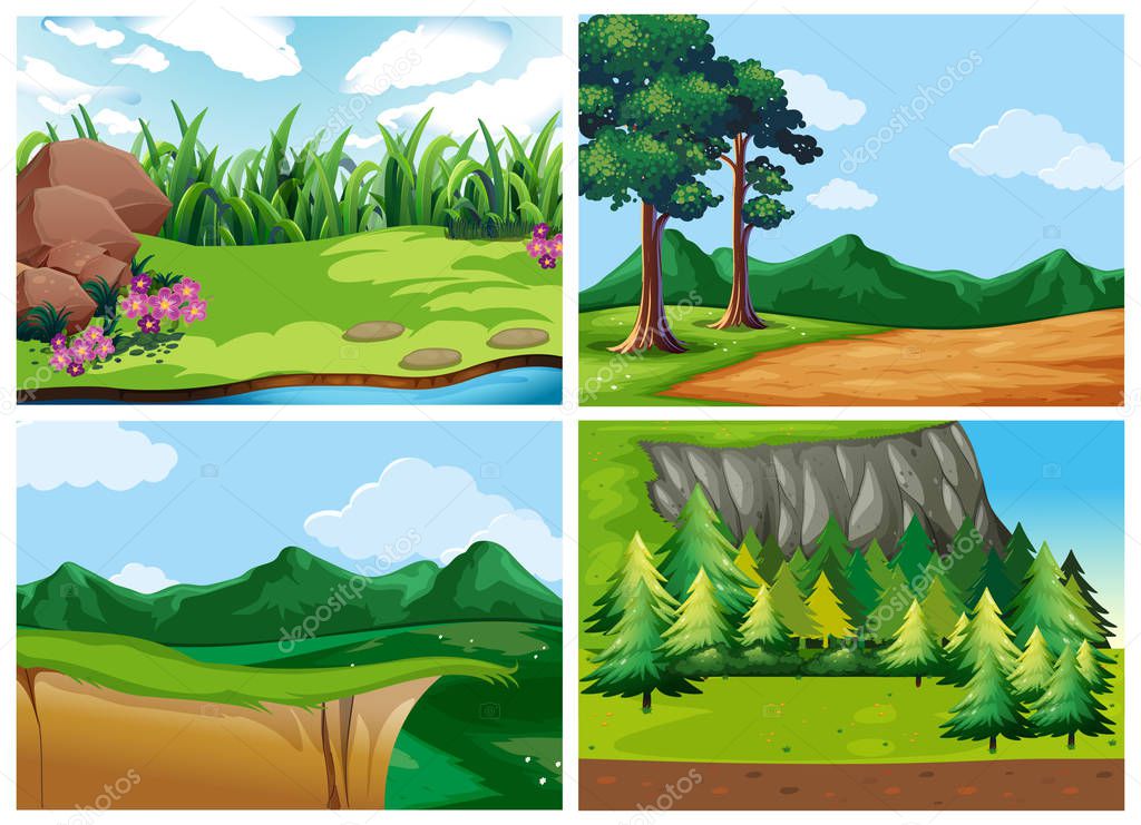 Four forest scenes at daytime