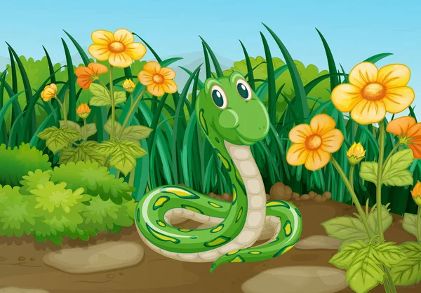 Green snake in garden — Stock Vector