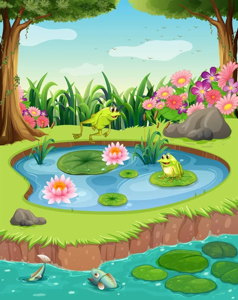 青蛙和池塘里的鱼 — 图库矢量图片