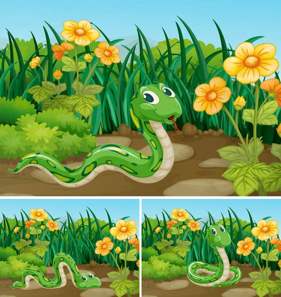 庭で緑のヘビと 3 つのシーン — ストックベクタ