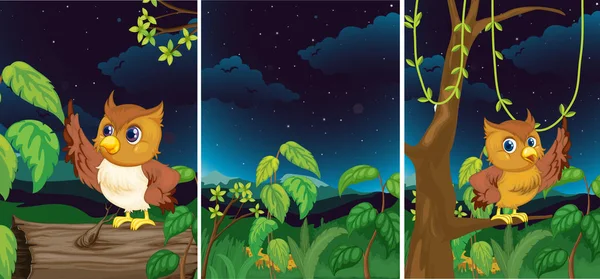 Bosque escenas con búhos lindos — Vector de stock