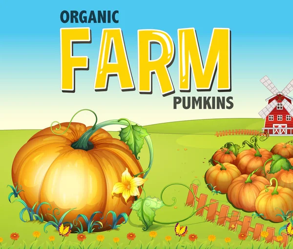 Farm scene with pumpkin garden — Stock Vector