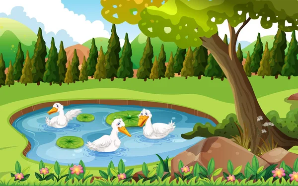 Tres patos nadando en el estanque — Vector de stock