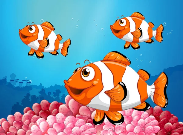 Three clownfish under the ocean — Stock Vector