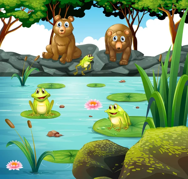 Two bears and three frogs at the pond — Stock Vector