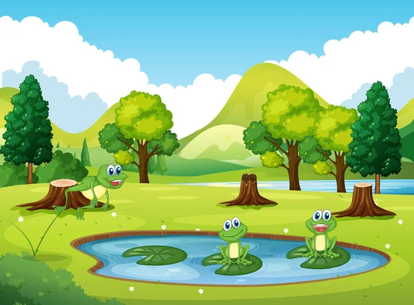 Escena del parque con tres ranas en el estanque — Vector de stock