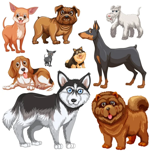Different types of dogs — Stock Vector