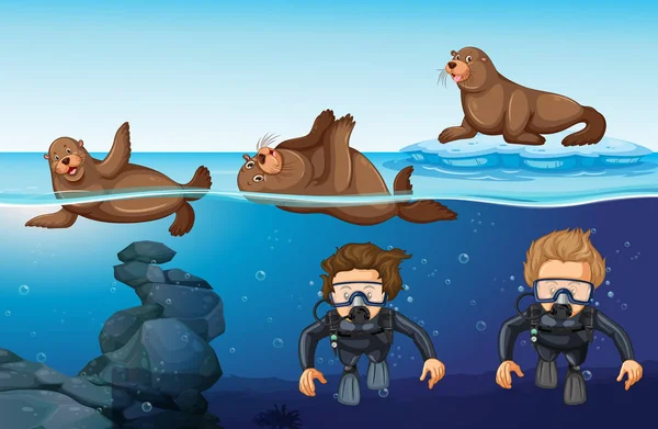 Buceadores y focas en el mar — Vector de stock