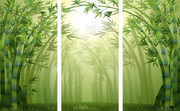 Bamboo forest scenes with mist — Stock Vector