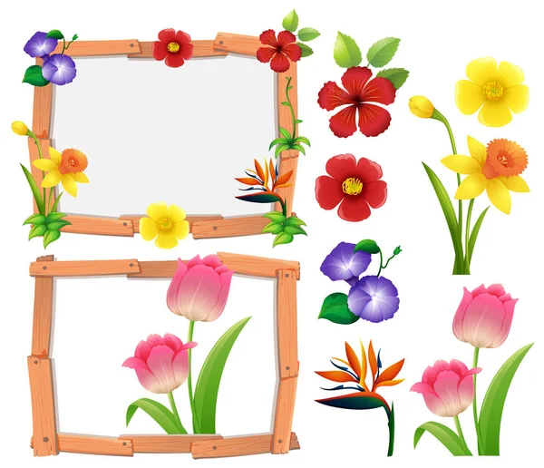 Modèle de cadre avec différents types de fleurs — Image vectorielle