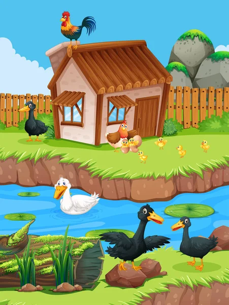 Granja escena con patos y pollos — Vector de stock