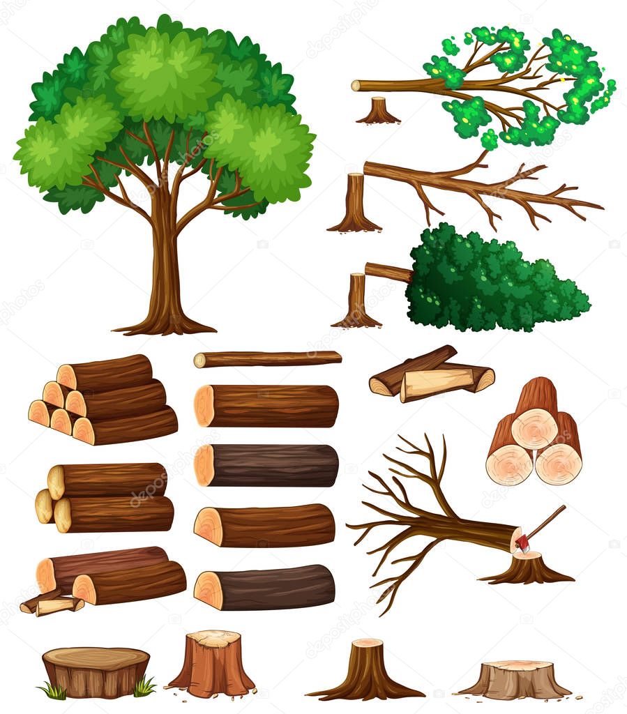 Tree and stump trees